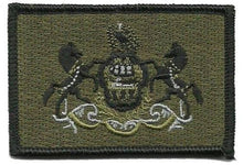 BuckUp Tactical Morale Patch Hook Pennsylvania Harrisburg State Patches 3x2" - BuckUp Tactical