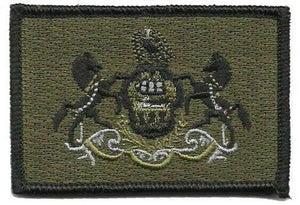 BuckUp Tactical Morale Patch Hook Pennsylvania Harrisburg State Patches 3x2" - BuckUp Tactical