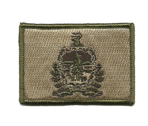 BuckUp Tactical Morale Patch Hook Vermont Montpielier State Patches 3x2" - BuckUp Tactical