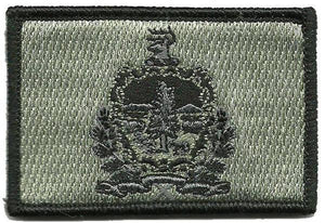BuckUp Tactical Morale Patch Hook Vermont Montpielier State Patches 3x2" - BuckUp Tactical