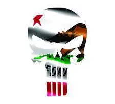 Punisher Skull California Flag Window Decal Sticker Graphic - Multiple Sizes.