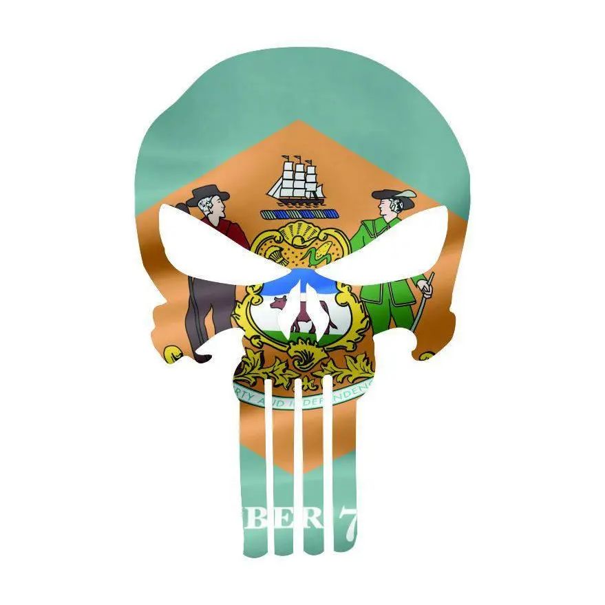 Punisher Skull Delaware Flag Window Decal Sticker Graphic - Multiple Sizes.