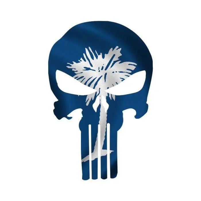 Punisher Skull South Carolina Flag Window Decal Sticker Graphic - Multiple Sizes.