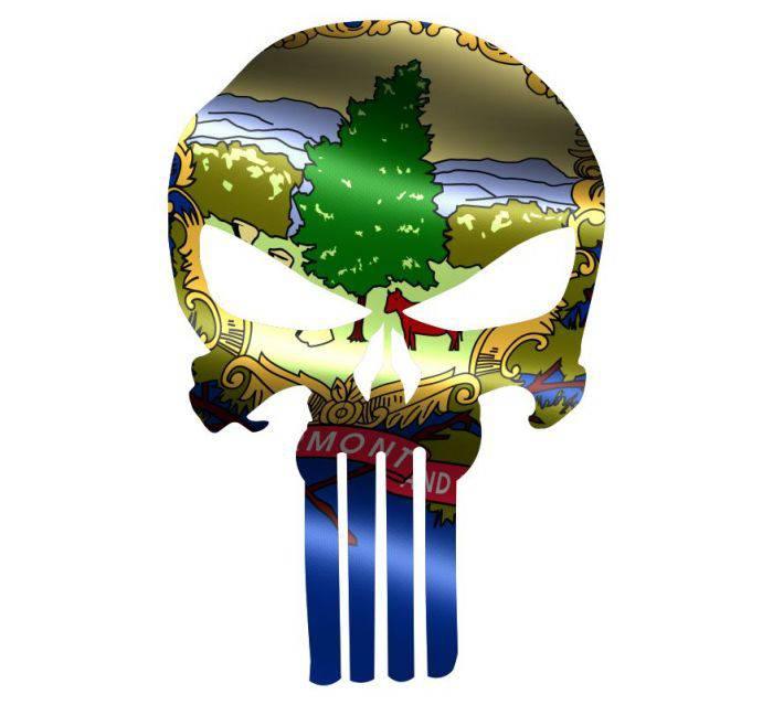 Punisher Skull Vermont Flag Window Decal Sticker Graphic - Multiple Sizes - BuckUp Tactical