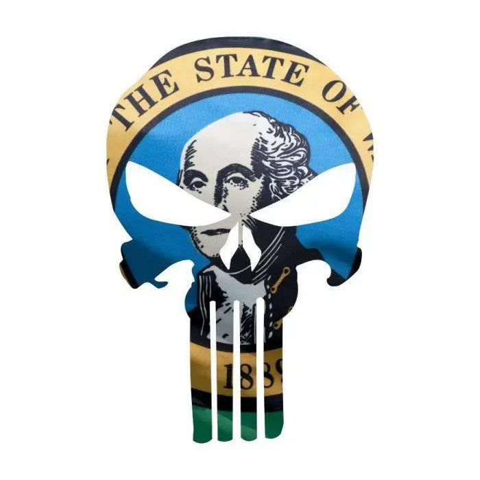 Punisher Skull Washington Flag Window Decal Sticker Graphic - Multiple Sizes.